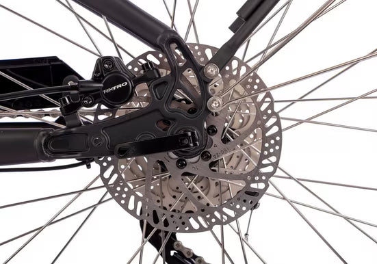 E-Bike Trekkingrad Quantum Sport Wave