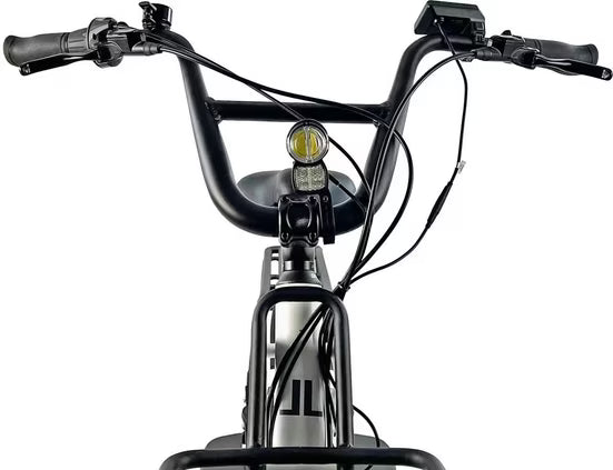 E-Bike Lastenrad Cargo City E-Bike Cargado
