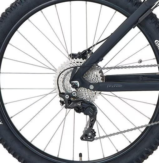 E-Bike Mountainbike DICE 4.8