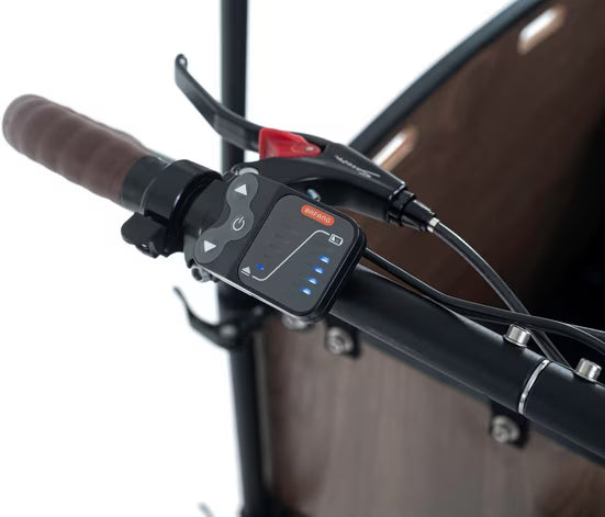 E-Bike Lastenrad Urban Deluxe