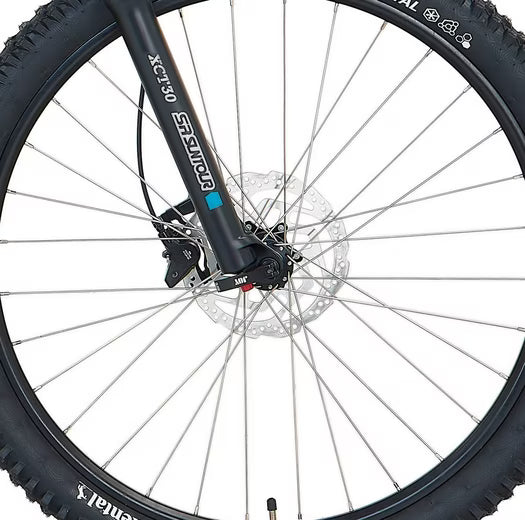E-Bike Mountainbike DICE 4.8