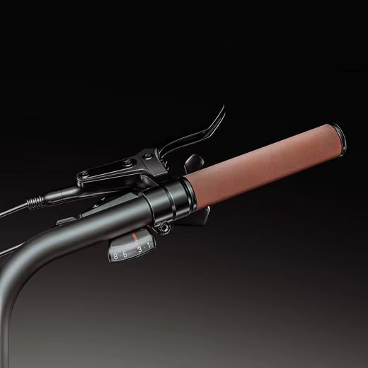 E-Bike Mountainbike PHANTOM CITY