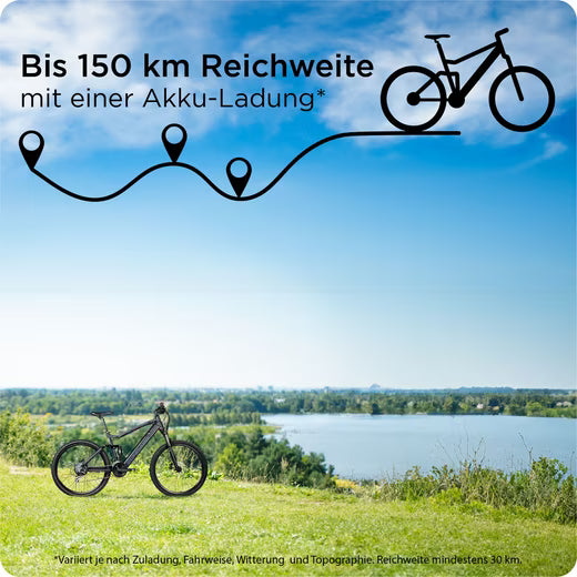 E-Bike Mountainbike XFS