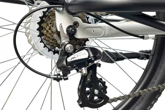 E-Bike Lastenrad Cargo City E-Bike Cargado