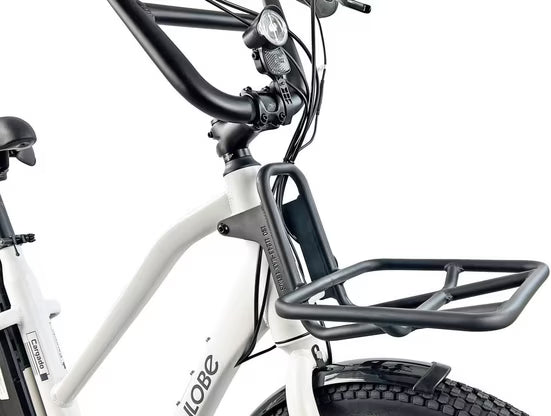 E-Bike Lastenrad Cargo City E-Bike Cargado