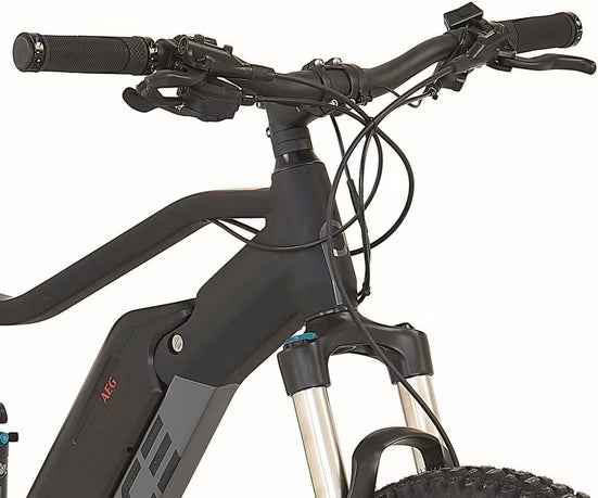 E-Bike Mountainbike DICE 4.8