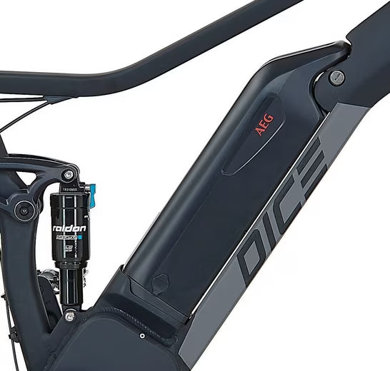 E-Bike Mountainbike DICE 4.8