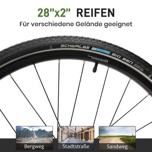 E-Bike Cityrad DERUIZ E-bike Quatrz-M 28 Zoll, leichtes City Pedelec 23.5kg