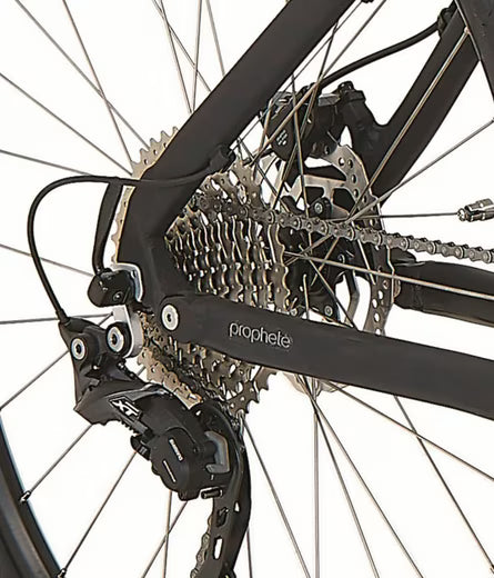 E-Bike Mountainbike DICE 4.8