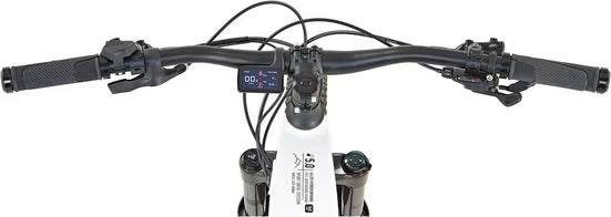 E-Bike Mountainbike DICE 5.0