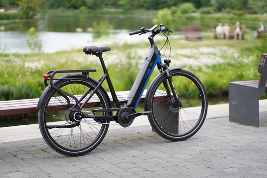 E-Bike Cityrad Geniesser 5.8