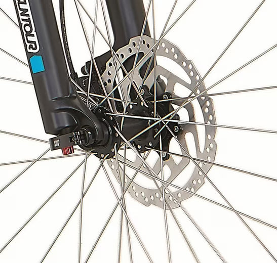 E-Bike Mountainbike DICE 4.8