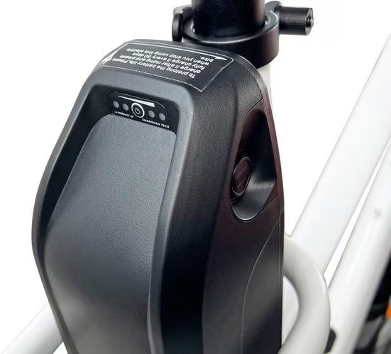 E-Bike Lastenrad Cargo City E-Bike Cargado