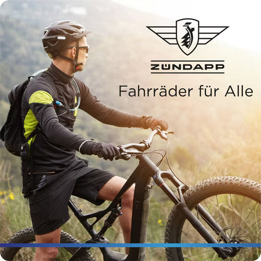 E-Bike Faltrad X20