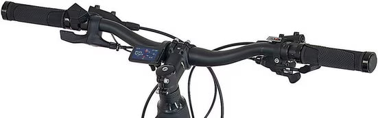 E-Bike Mountainbike DICE 4.8