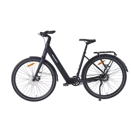 E-Bike Cityrad LUNA 2.0 Zwei Einheiten 28 zoll e bike damen daul speed Riemenantrieb