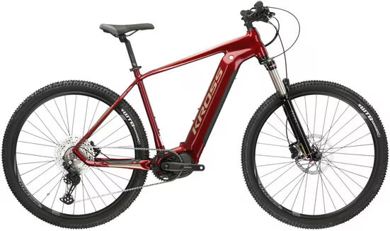 E-Bike Mountainbike E-MTB Level Boost 2.0 29 Zoll rot