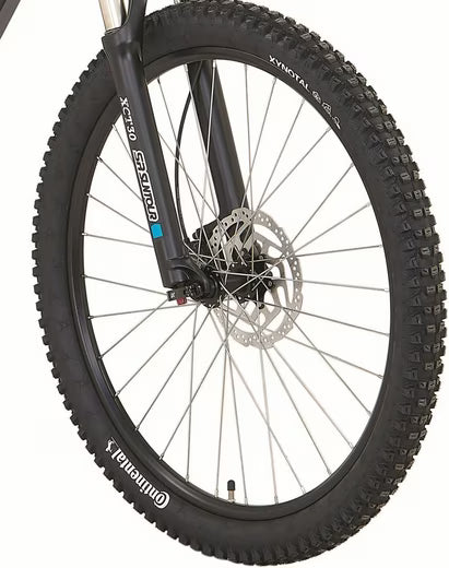 E-Bike Mountainbike DICE 4.8