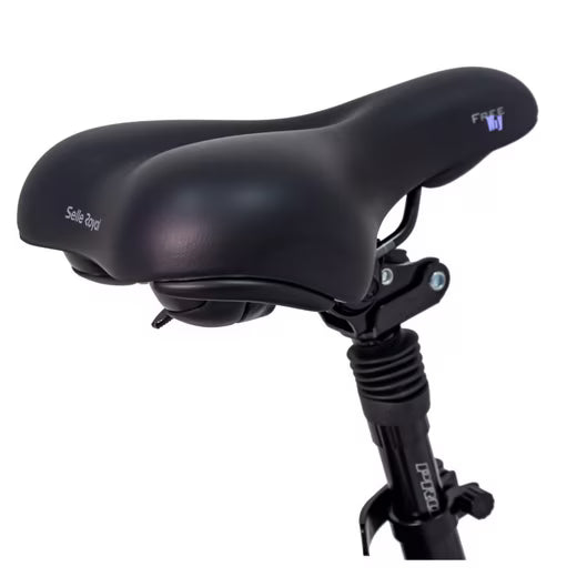 E-Bike Klapprad E-Klapprad Camp-20D & Camp-20H E-Bike 20 Zoll Schwarz