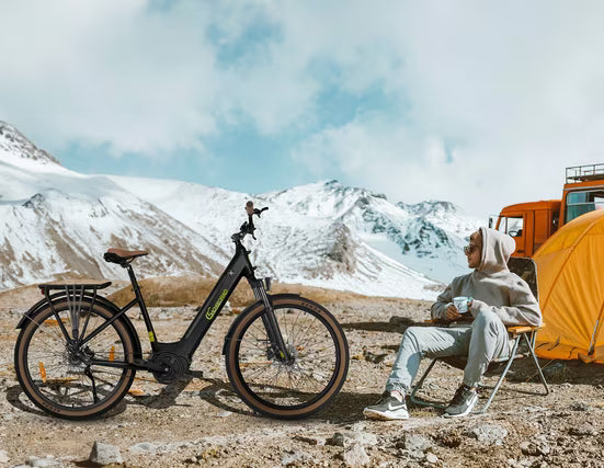 E-Bike ATB
