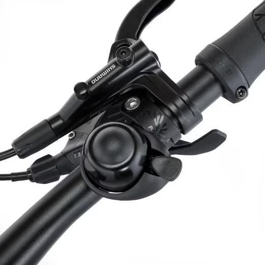 E-Bike Mountainbike MONTIS M100 711