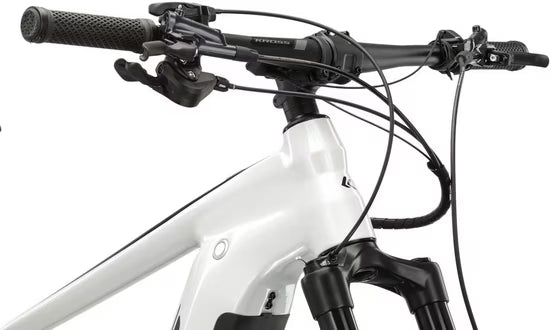 E-Bike Mountainbike E-MTB Level Boost 3.0 29 Zoll weiß