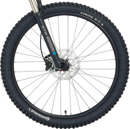 E-Bike Mountainbike DICE 4.8