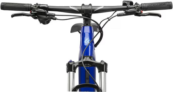 E-Bike Mountainbike KROSS E-MTB Lea Boost 2.0 29 Zoll blau
