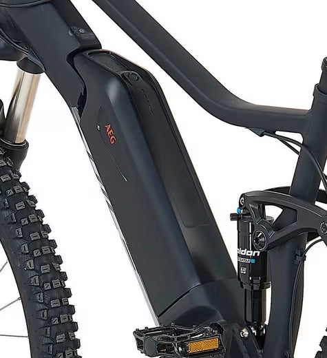 E-Bike Mountainbike DICE 4.8