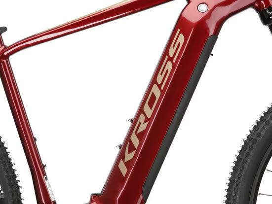 E-Bike Mountainbike E-MTB Level Boost 2.0 29 Zoll rot