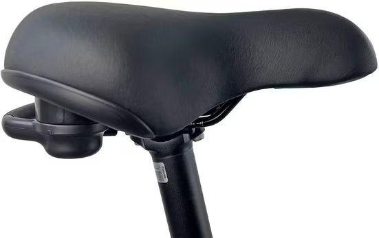 E-Bike Lastenrad Cargo City E-Bike Cargado