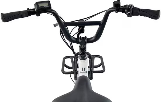 E-Bike Lastenrad Cargo City E-Bike Cargado