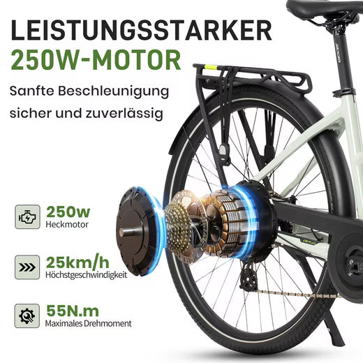 E-Bike Cityrad DERUIZ E-bike Quatrz-M 28 Zoll, leichtes City Pedelec 23.5kg