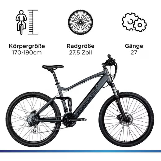 E-Bike Mountainbike XFS