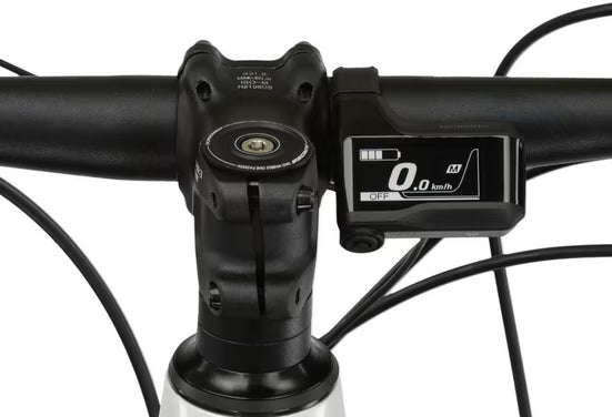 E-Bike Mountainbike E-MTB Level Boost 3.0 29 Zoll weiß