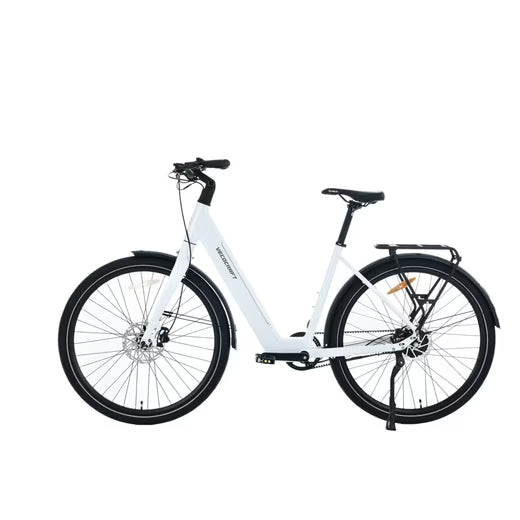 E-Bike Cityrad LUNA 2.0 Zwei Einheiten 28 zoll e bike damen daul speed Riemenantrieb