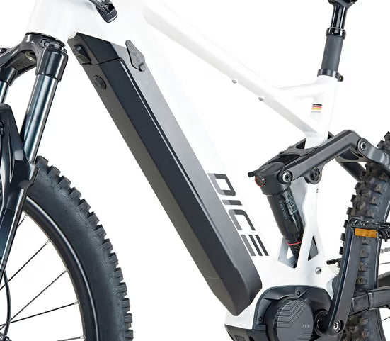 E-Bike Mountainbike DICE 5.0