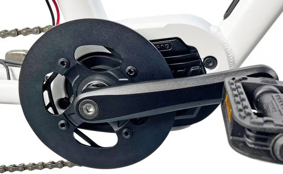 E-Bike Lastenrad Cargo City E-Bike Cargado