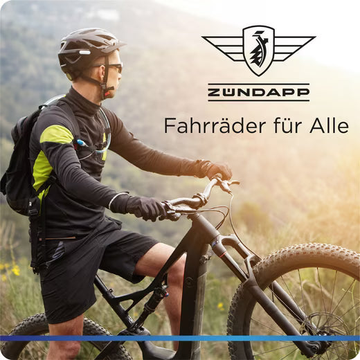 E-Bike Cityrad X300
