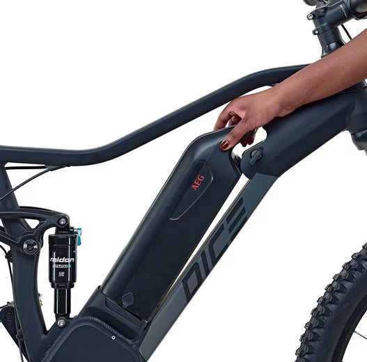 E-Bike Mountainbike DICE 4.8