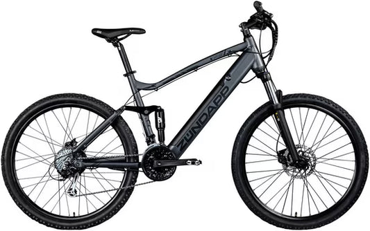 E-Bike Mountainbike XFS