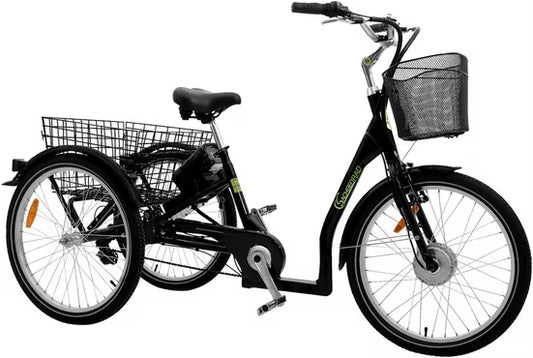 E-Bike Lastenrad T3A