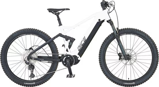 E-Bike Mountainbike DICE 5.0