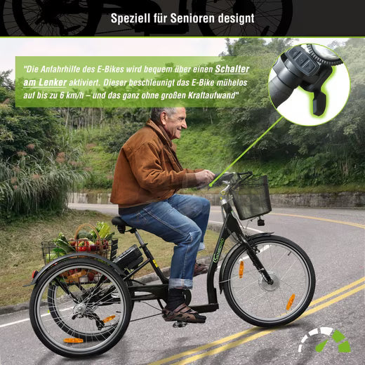 E-Bike Lastenrad T3A