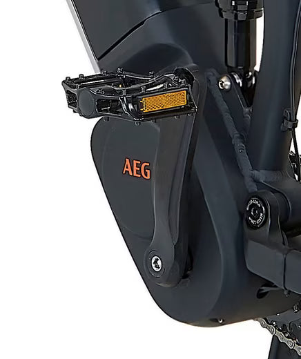 E-Bike Mountainbike DICE 4.8