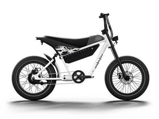 E-Bike Mountainbike Himiway C5 Elektro Fahrrad 48V 20Ah,Drehmoment-/Geschwindigkeitssensor