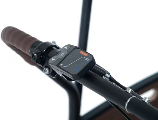 E-Bike Lastenrad Urban Deluxe