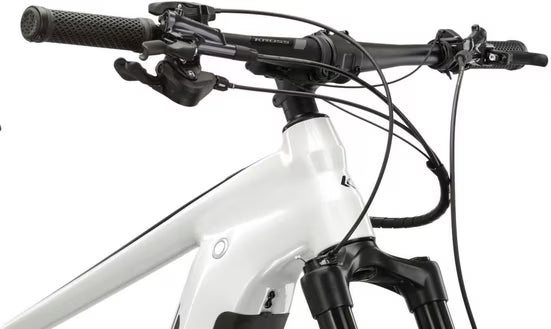 E-Bike Mountainbike E-MTB Level Boost 3.0 29 Zoll weiß