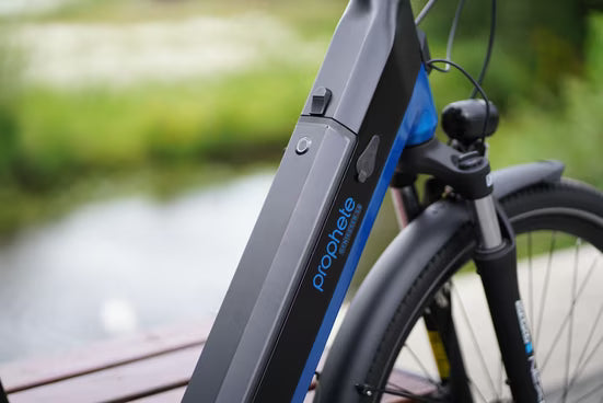 E-Bike Cityrad Geniesser 5.8