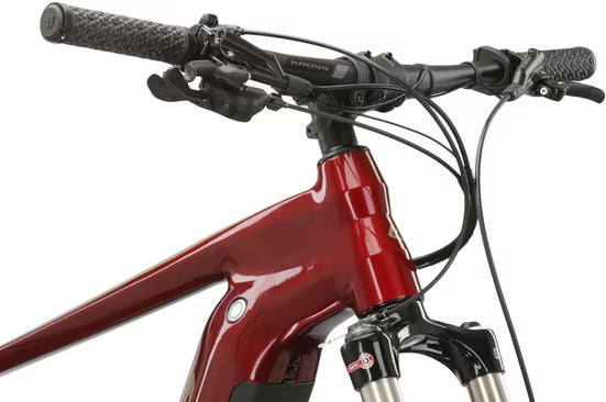 E-Bike Mountainbike E-MTB Level Boost 2.0 29 Zoll rot